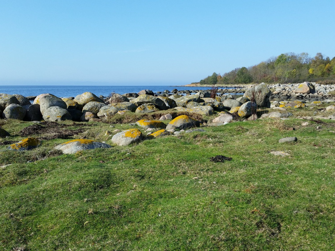 Magnarps Strandmark Naturreservat-Vejbystrand必去景点
