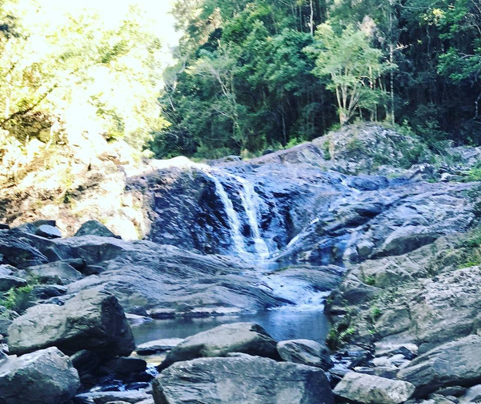 Conondale National Park景点图片