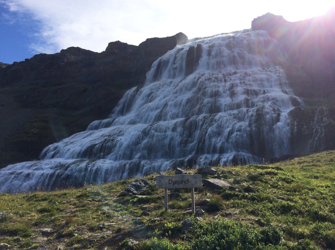 Westfjords Adventures景点图片