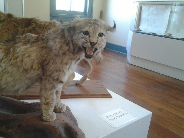 The Western Hotel Museum-兰开斯特必去景点