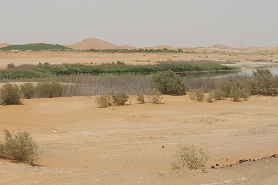 Lake Zakher-艾因市必去景点