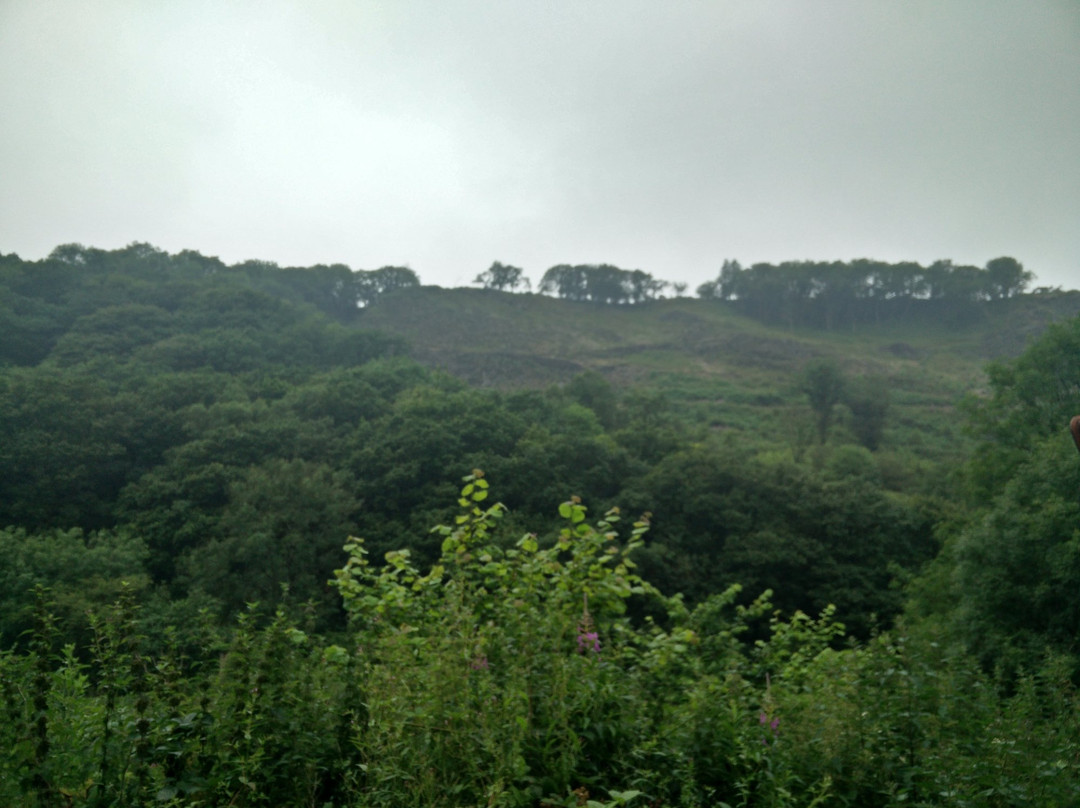 Llanpumsaint旅游攻略图片