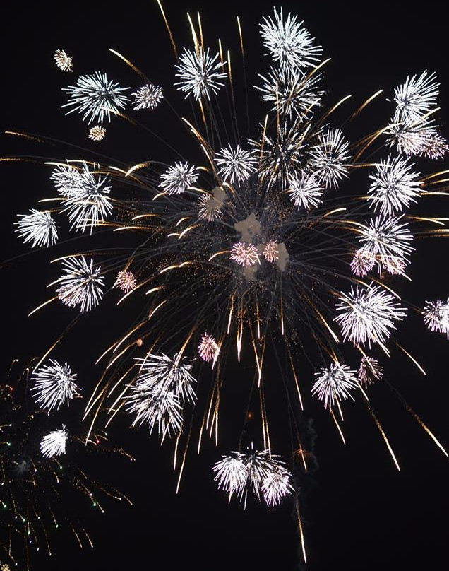 Ashikaga Fireworks-足利市必去景点