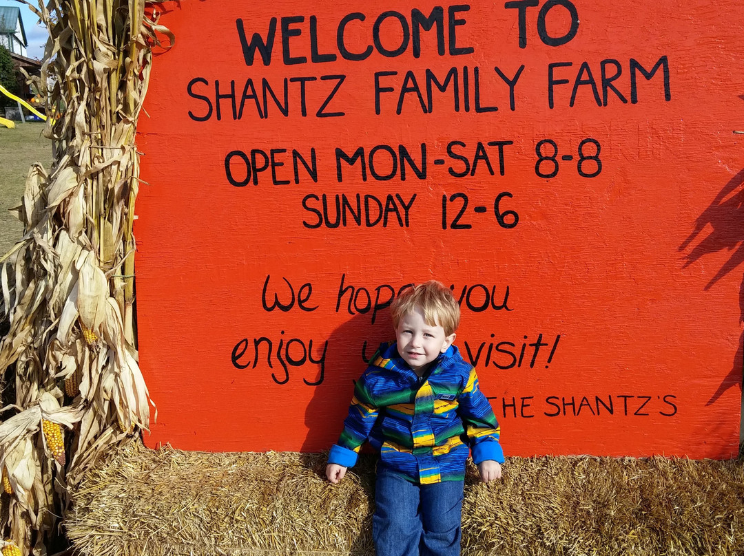 Shantz Family Farm景点图片