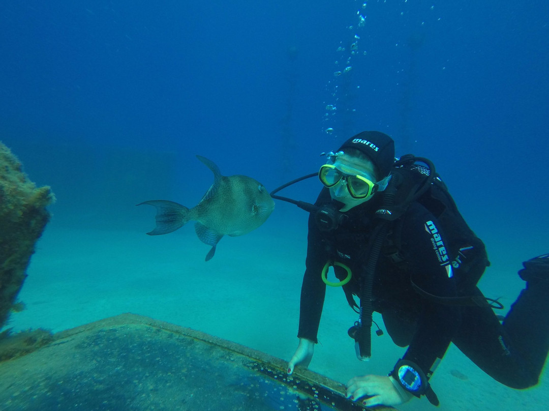 Atlantis Diving Lanzarote景点图片