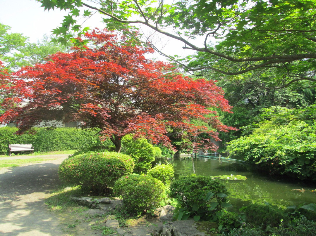 Mizusawa Park景点图片