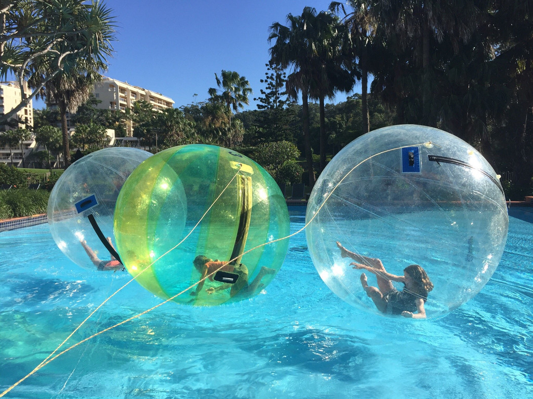 Time Out Adventures & Segway Tours Coffs Harbour-科夫斯港必去景点