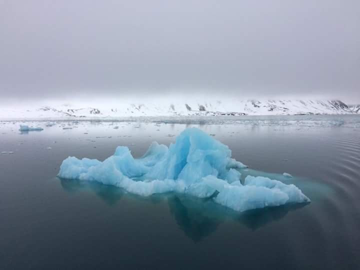 Sean Kurdziolek Portraits and Gallery-北极必去景点