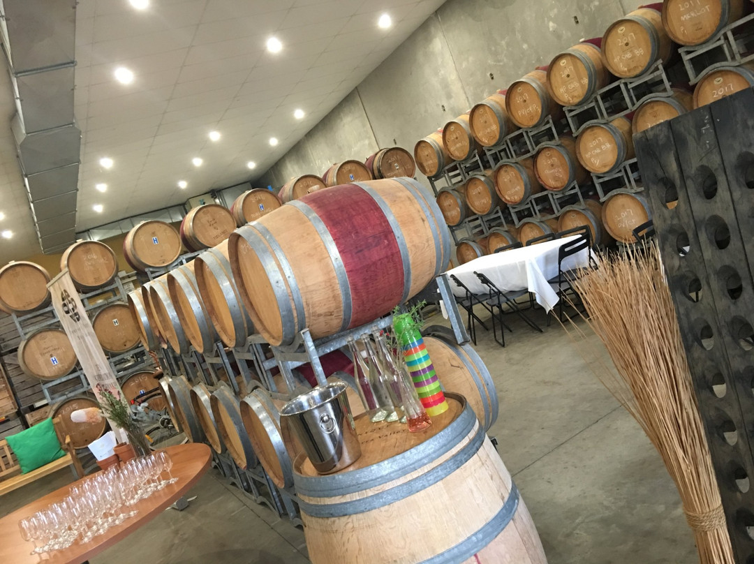Yarra Valley Winery Tours-Lilydale必去景点