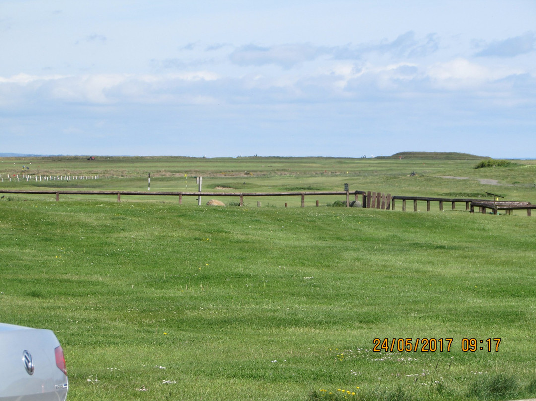 Newbiggin Golf Club景点图片