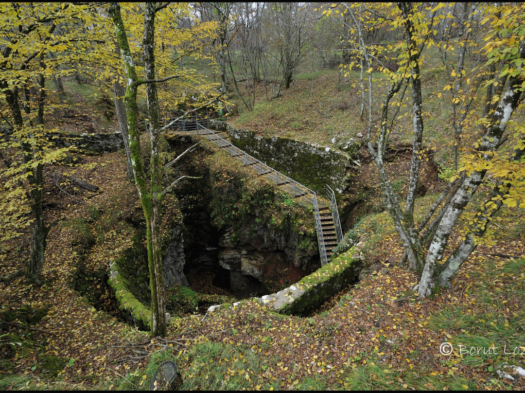Divaška Cave景点图片