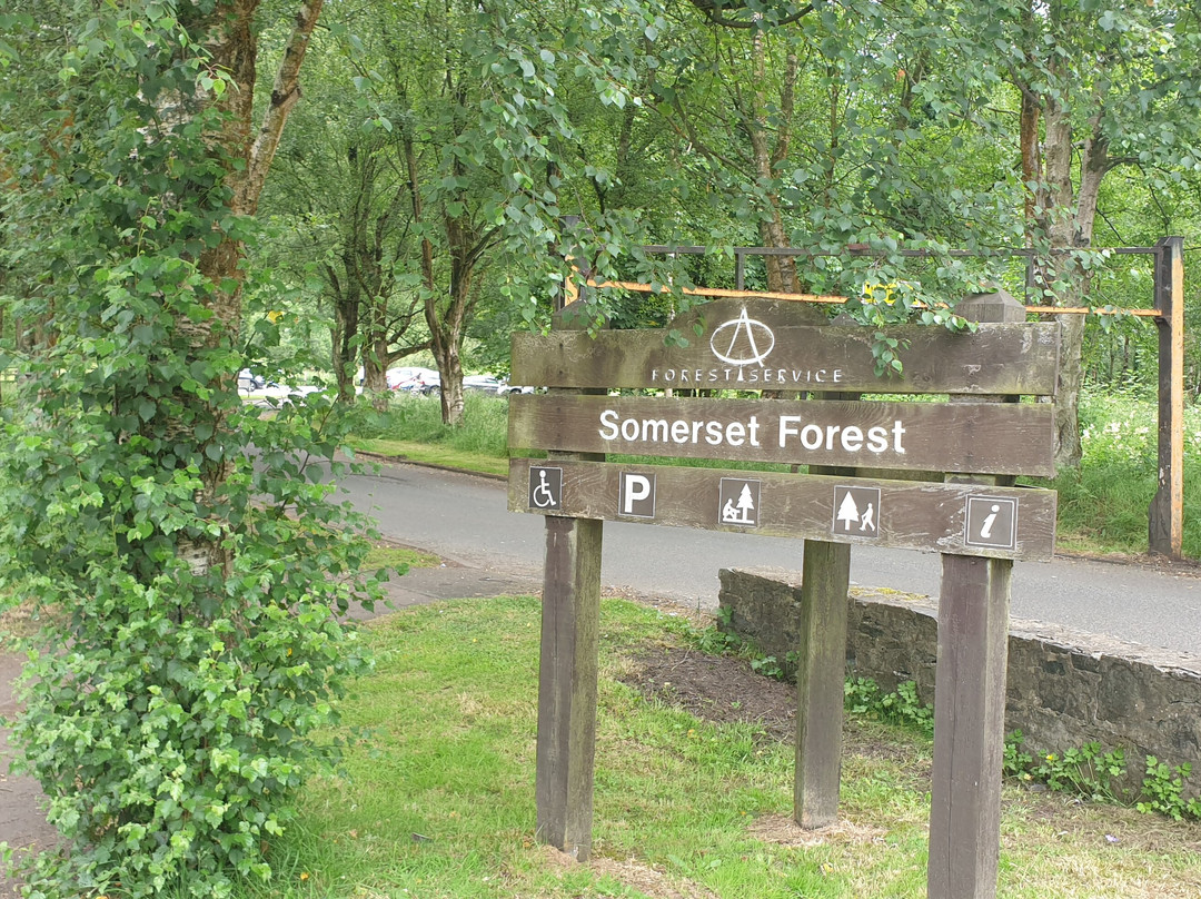 Somerset Forest景点图片
