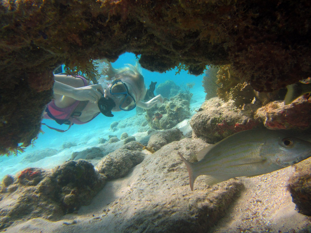 VI SNUBA Excursions-维尔京群岛国家公园必去景点