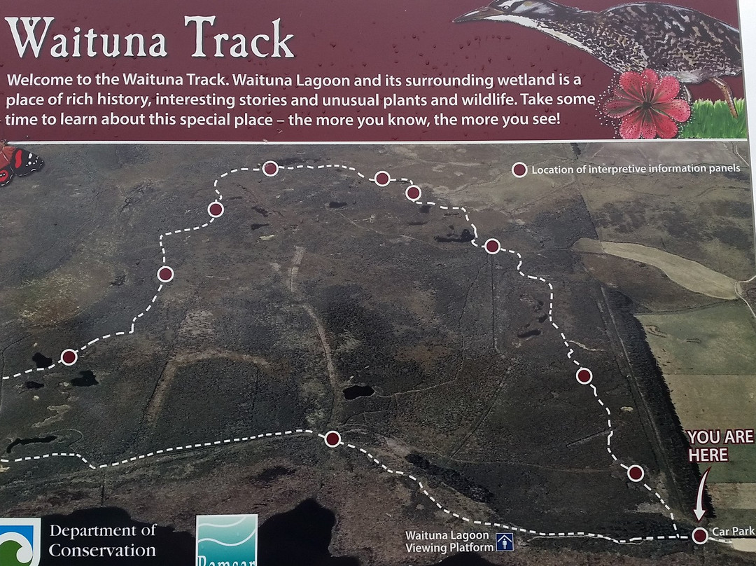 Waituna Lagoon景点图片