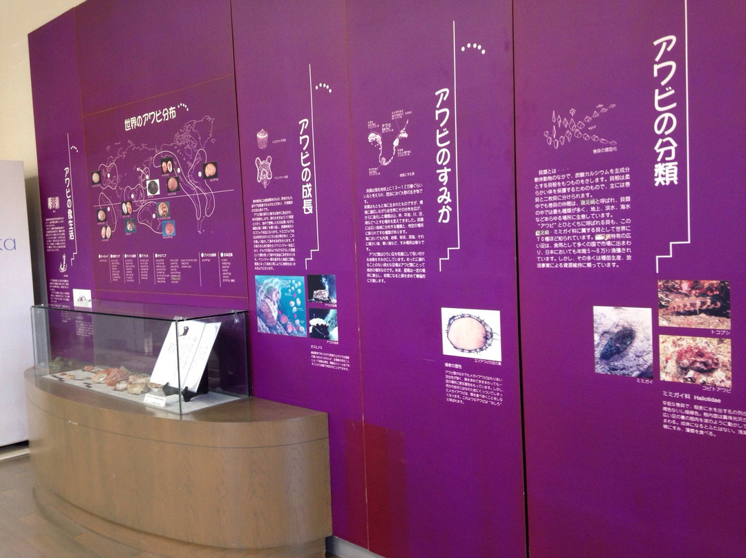 Kumaishi Hiratanaiso主图