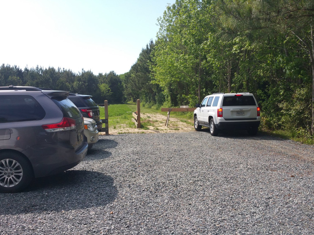 Savage Neck Dunes Dunes Natural Area Preserve-Eastville必去景点