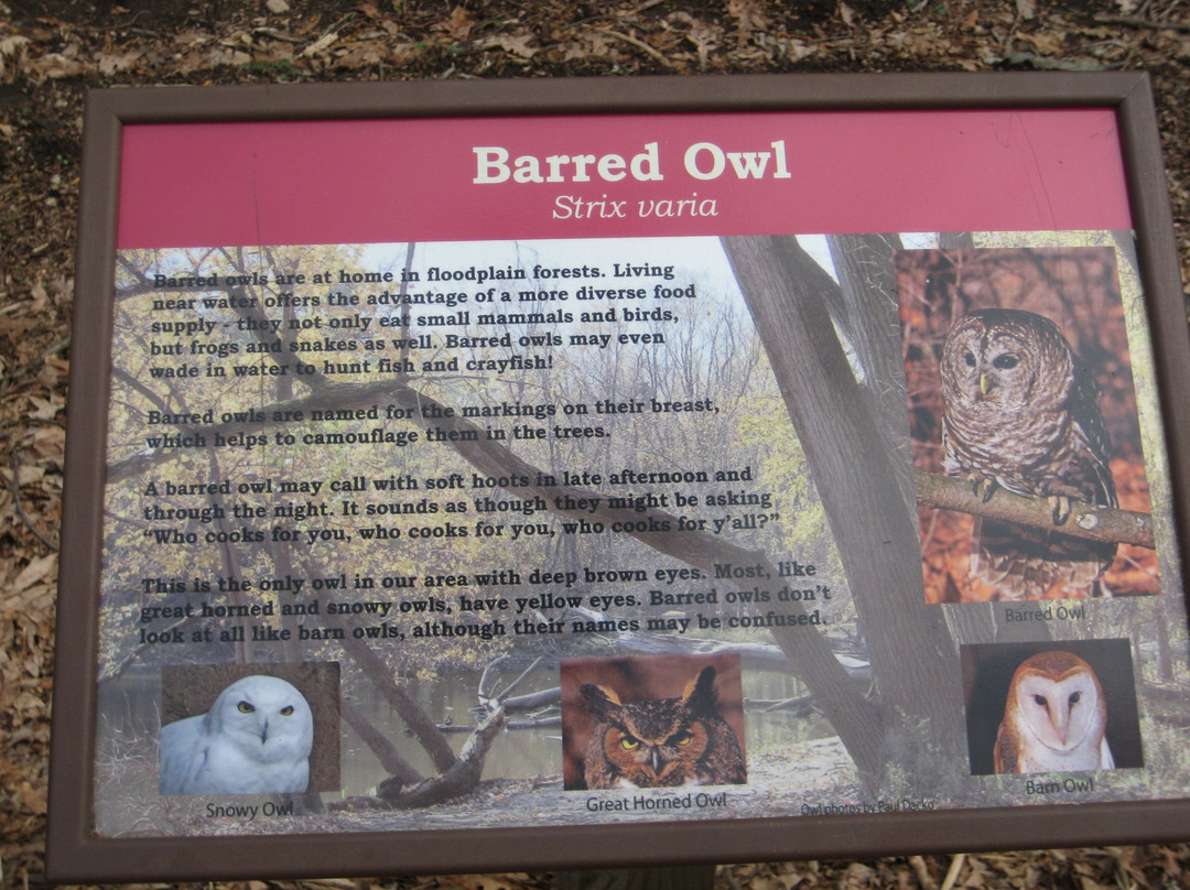 River Trail Nature Center-诺斯布鲁克必去景点