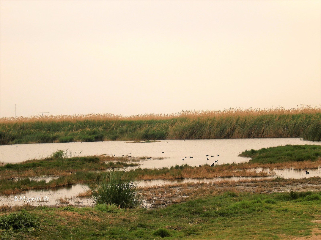 Akrotiri Marsh-Akrotiri必去景点