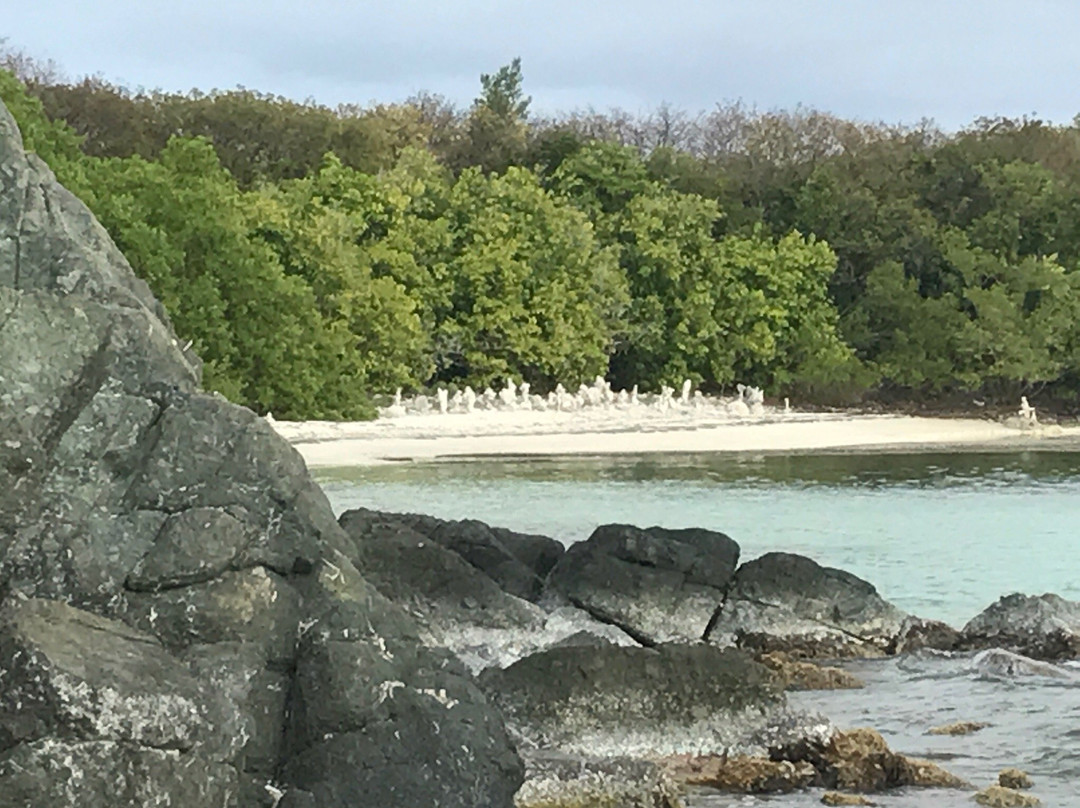 La Plata Beach-维切克岛必去景点