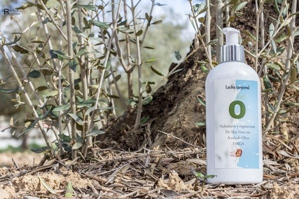 Almazara Sant Climent-Sant Mateu必去景点