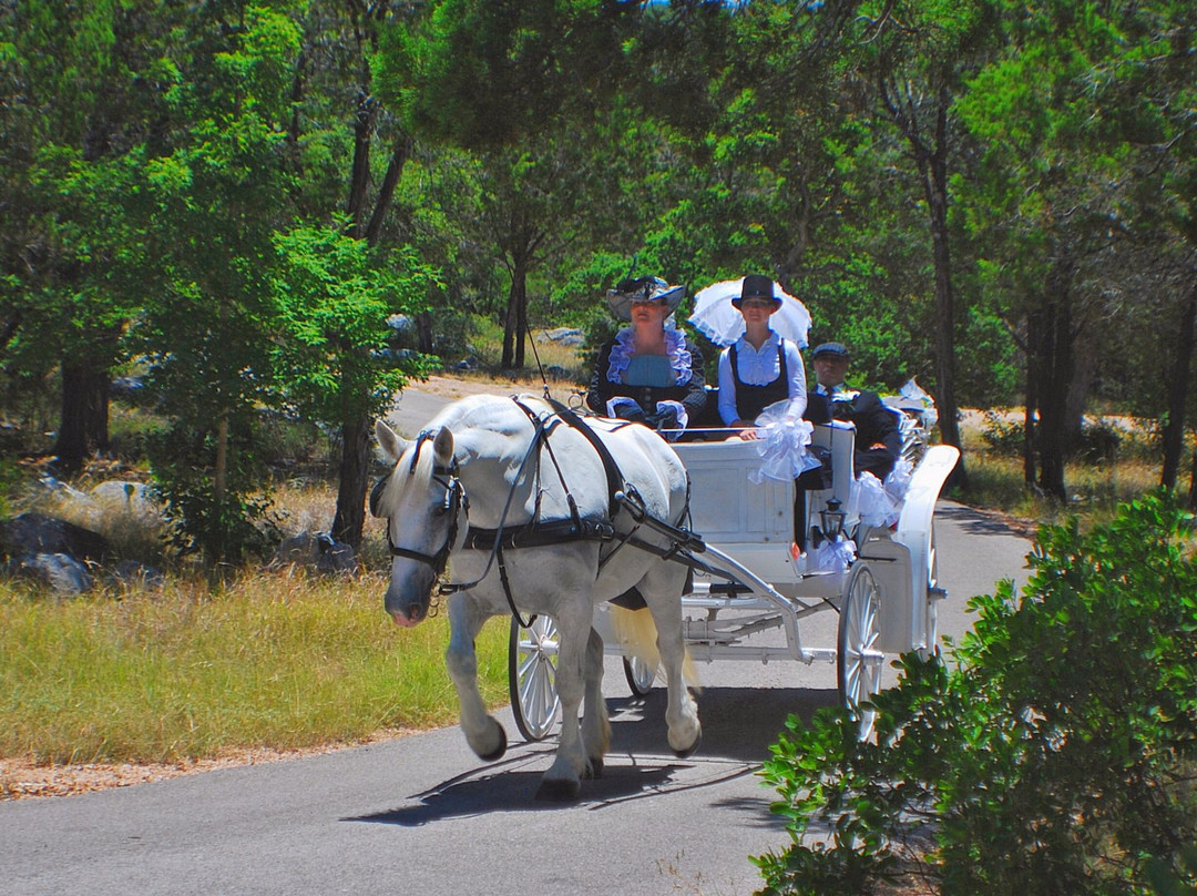 Fantasia Carriage-Lago Vista必去景点