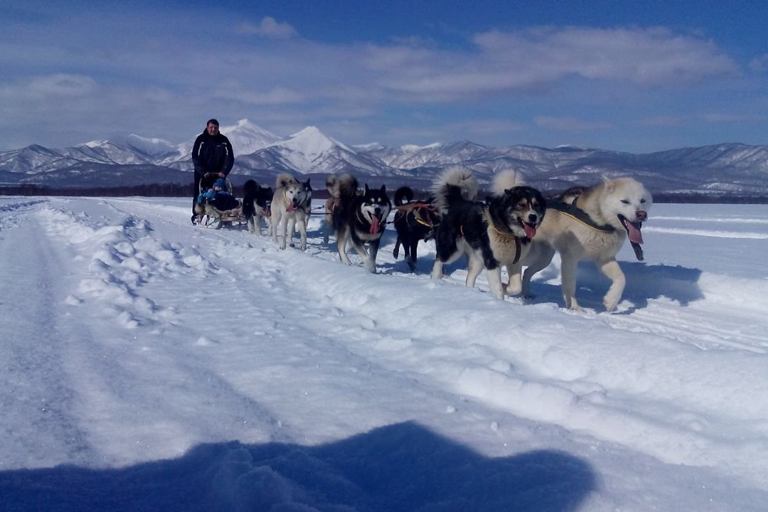 帕拉通卡旅游景点-Koryak Nomads Camp Eyvet and Nursery for Sled Dogs of Andrey Pritchin