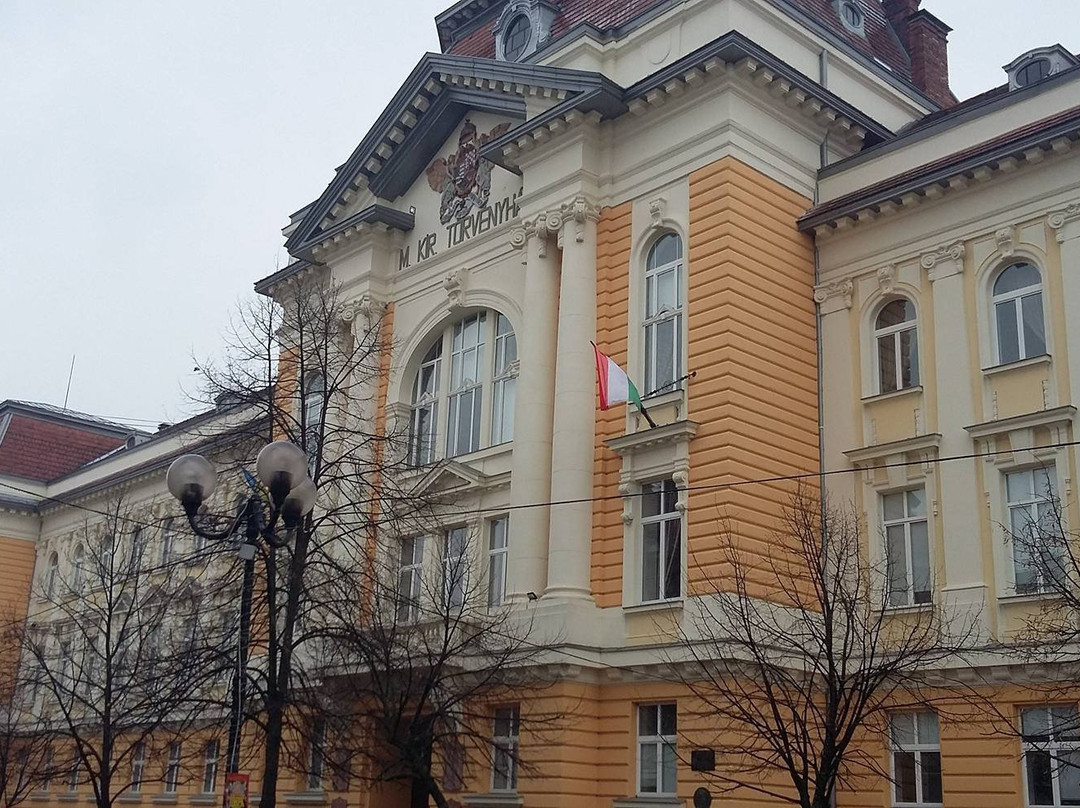 Transcarpathian Hungarian College-Beregovo必去景点