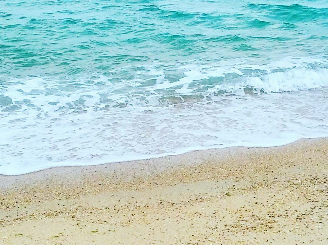 Nishikinohama Beach Park-贝冢市必去景点