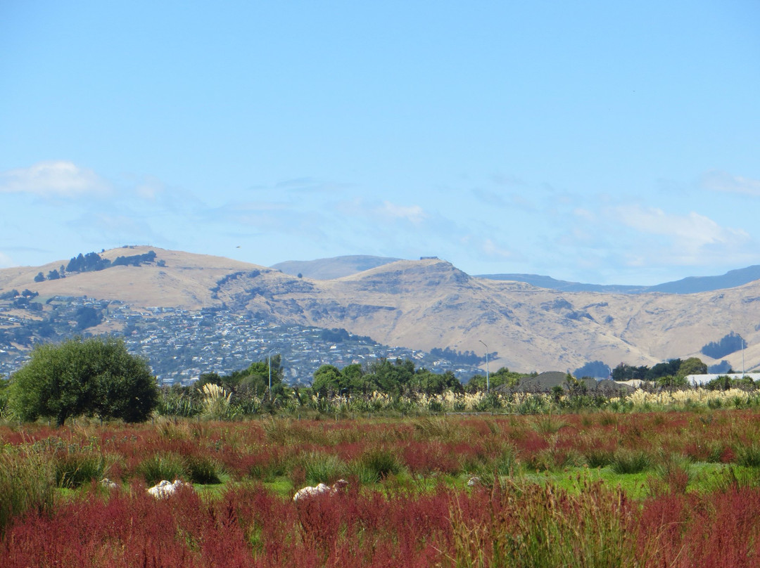 New Brighton North旅游景点-Travis Wetland