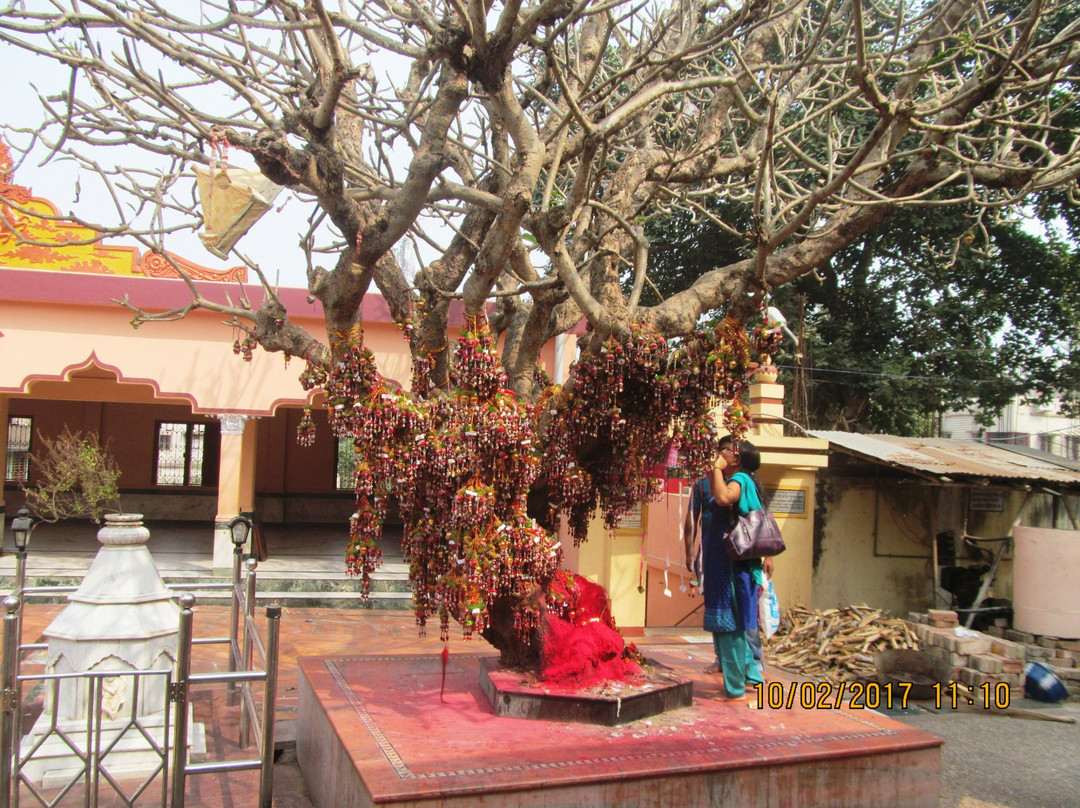 Bargabheema Temple景点图片