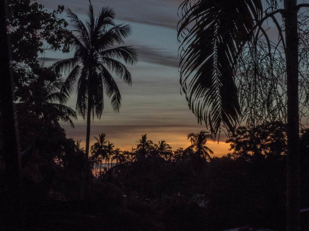 本加玛斯普雷斯酒店主图