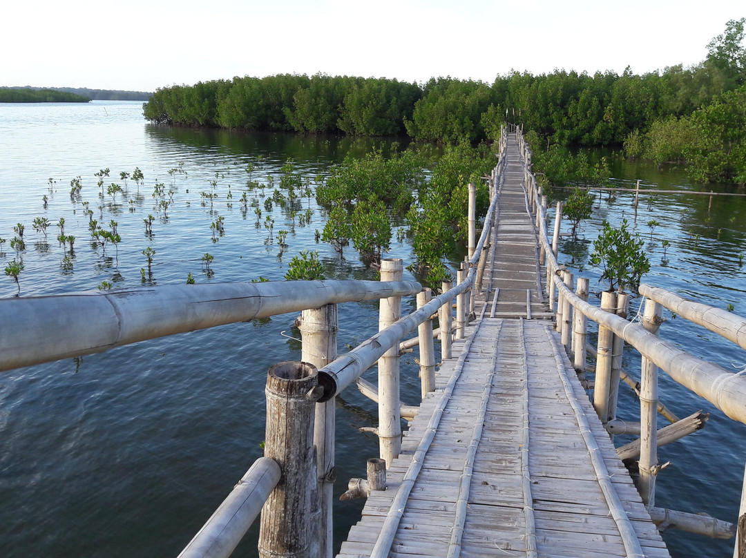Mobod Fish Sanctuary景点图片