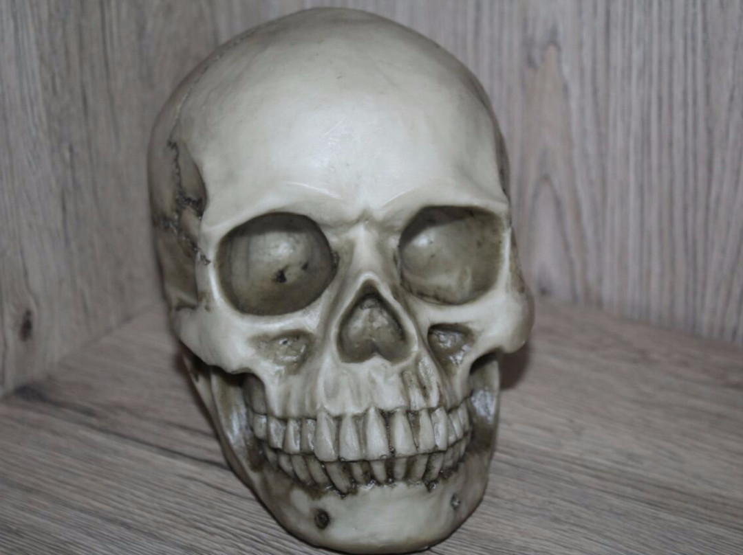 Image of a Murderer-Petah Tiqwa必去景点