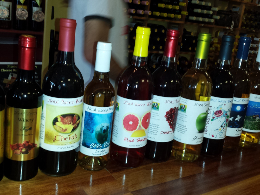 Noni Bacca Winery景点图片