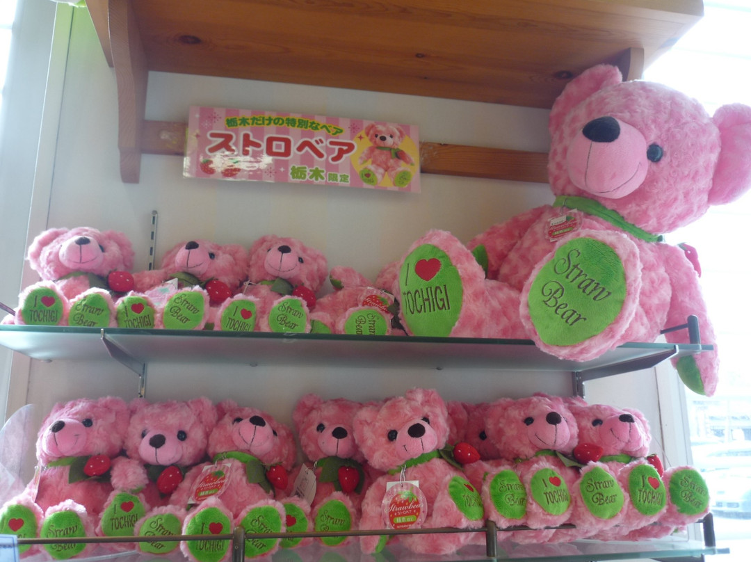 Okashinoshiro Nasu Heartland-那须町必去景点