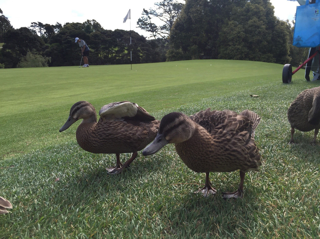 North Shore Golf Club-奥尔巴尼必去景点