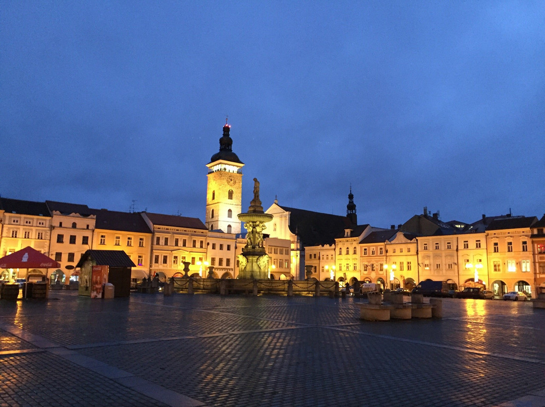 契斯凯布达札维酒店住宿-Boutique Hotel U Solné brány