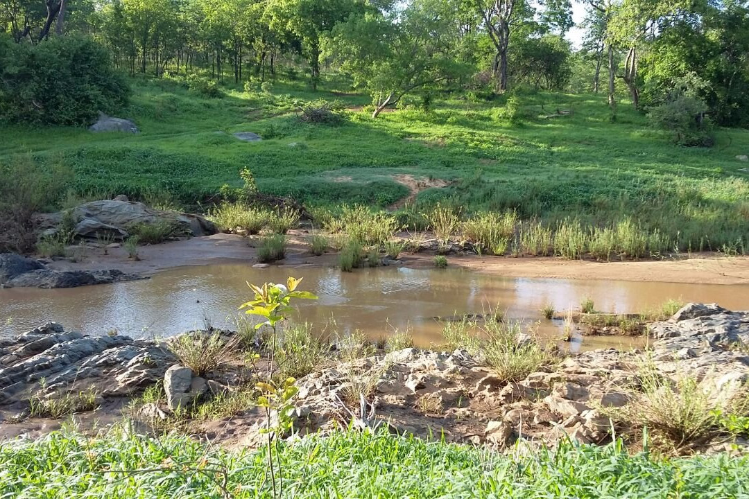 Umfurudzi Park景点图片