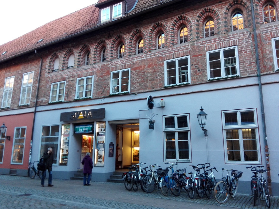 Reppenstedt旅游景点-Scala Programmkino