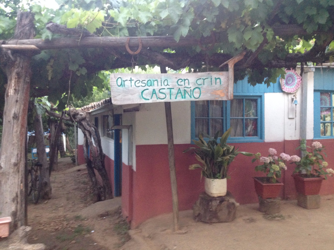 Maestra Madre Rari-Colbun必去景点