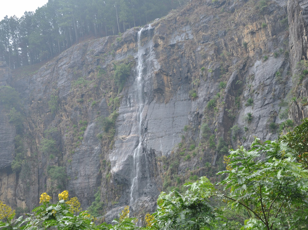 Hiking Bambarakanda to Horton Plains-Ohiya必去景点