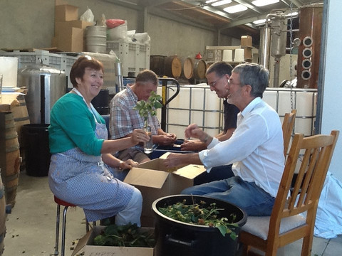 Liquid Alchemy-尼尔森必去景点