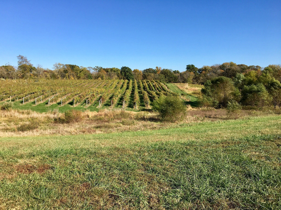 Villa Marie Winery-Maryville必去景点