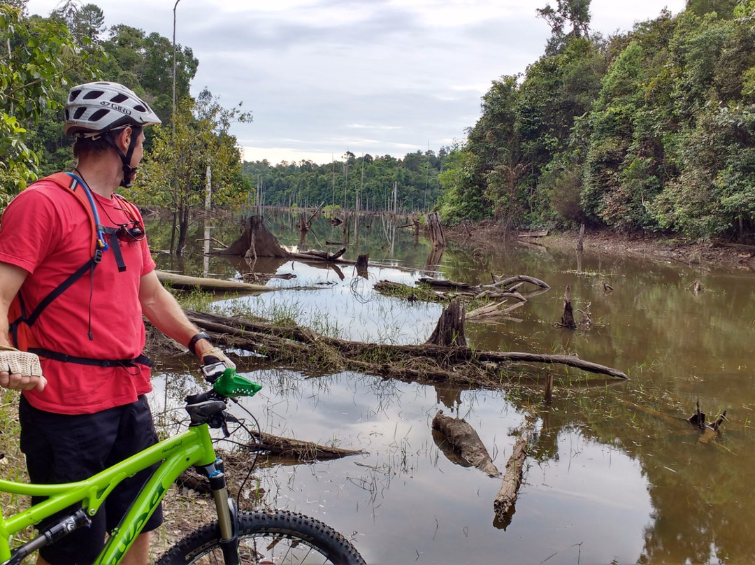 Taman Hutan Raya Sultan Syarif Hasyim景点图片
