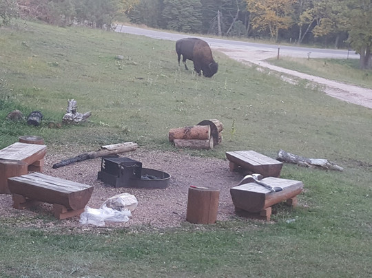 Custer State Park Resort-卡斯特必去景点