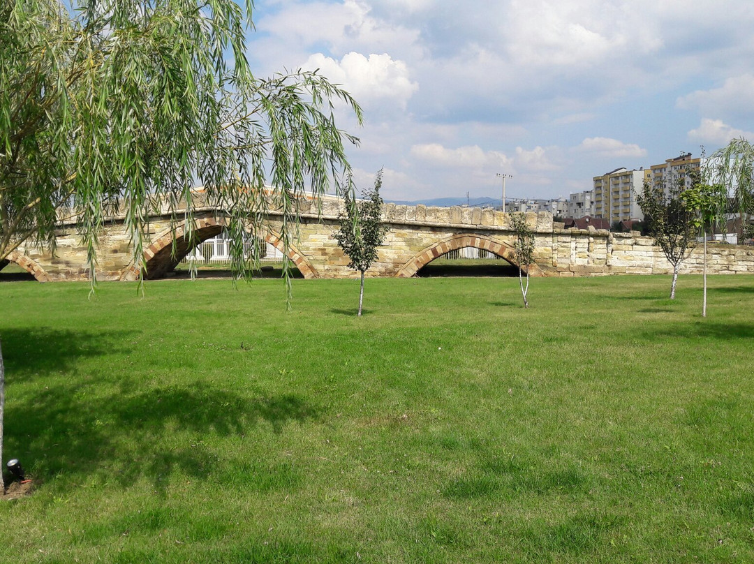Stone Bridge-Mitrovica必去景点