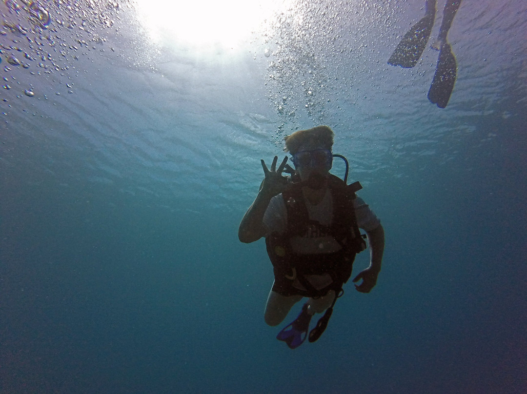 Montserrat Island Dive Centre景点图片