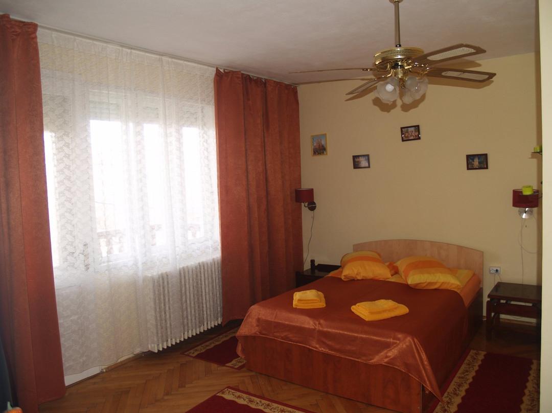 Pensiunea Casa cu flori主图