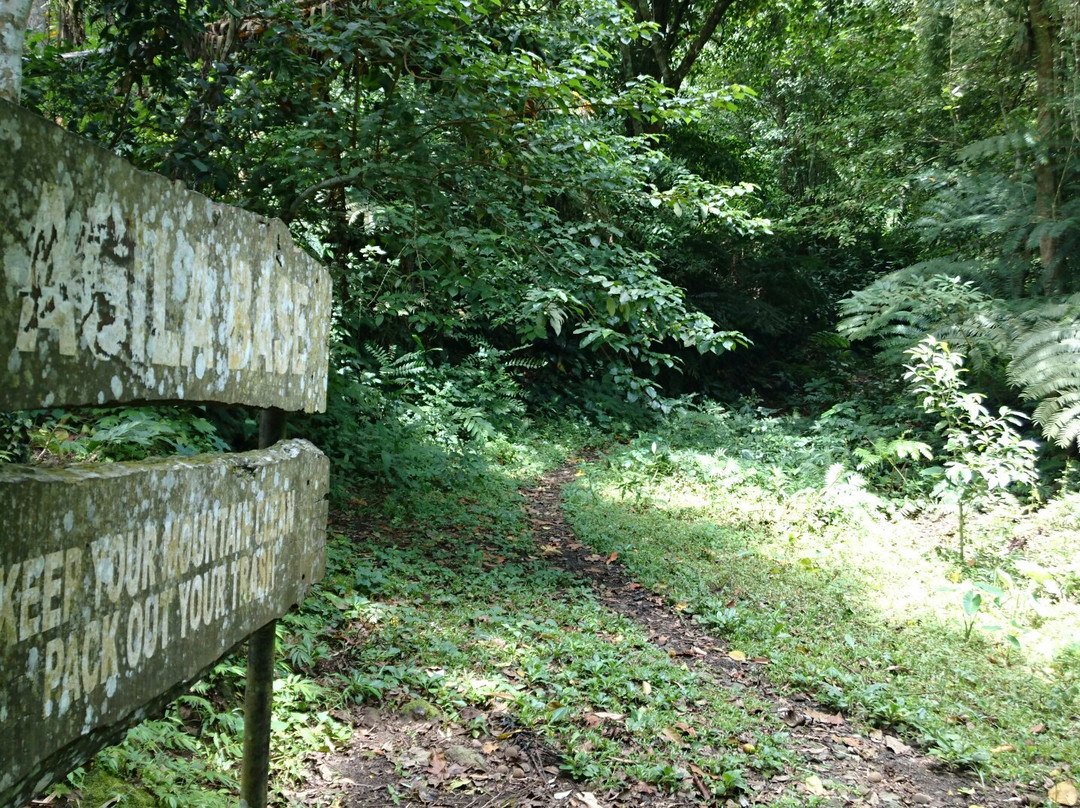 Mount Makiling景点图片