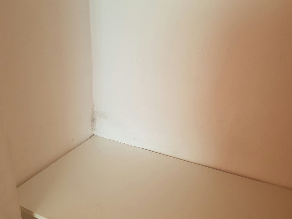 Hostal Horizonte主图